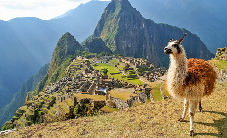Peru Bans Ash-Scattering At Machu Picchu After Backlash