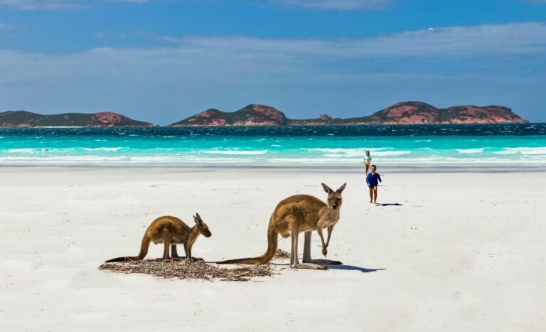 8 Dreamy Western Australia Beaches For The Ultimate Coastal Experience