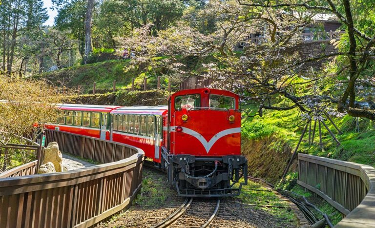 Alishan: Taiwan’s Mountain Destination Is The Perfect Escape For Serenity Seekers