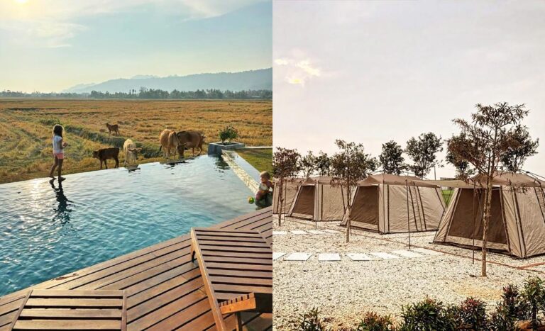Rice, Rice, Paddy: 8 Underrated Paddy Field Retreats In Malaysia For Your Next Staycation