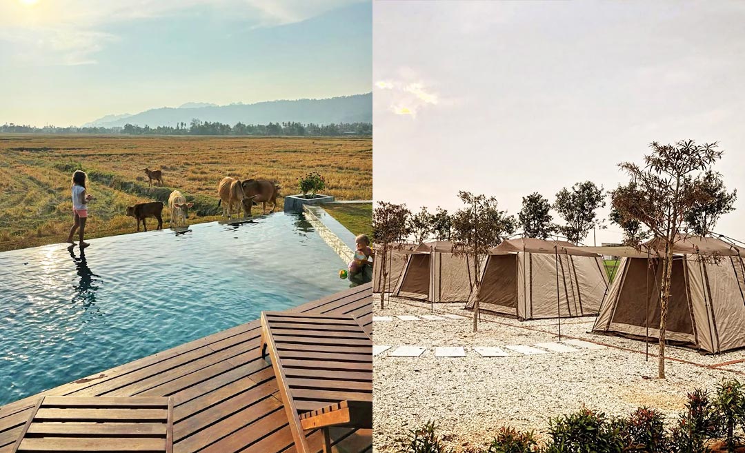 Rice, Rice, Paddy: 8 Underrated Paddy Field Retreats In Malaysia For Your Next Staycation