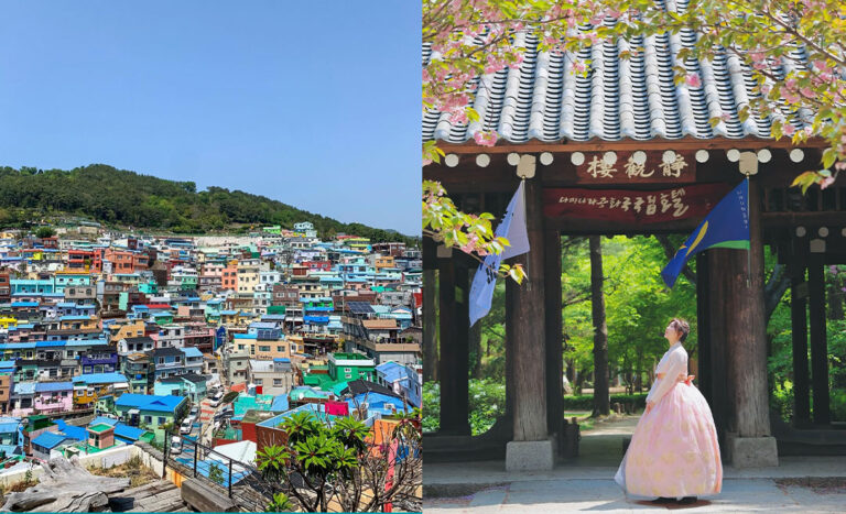 From Busan To Seoul: My Experience Travelling & Living In South Korea
