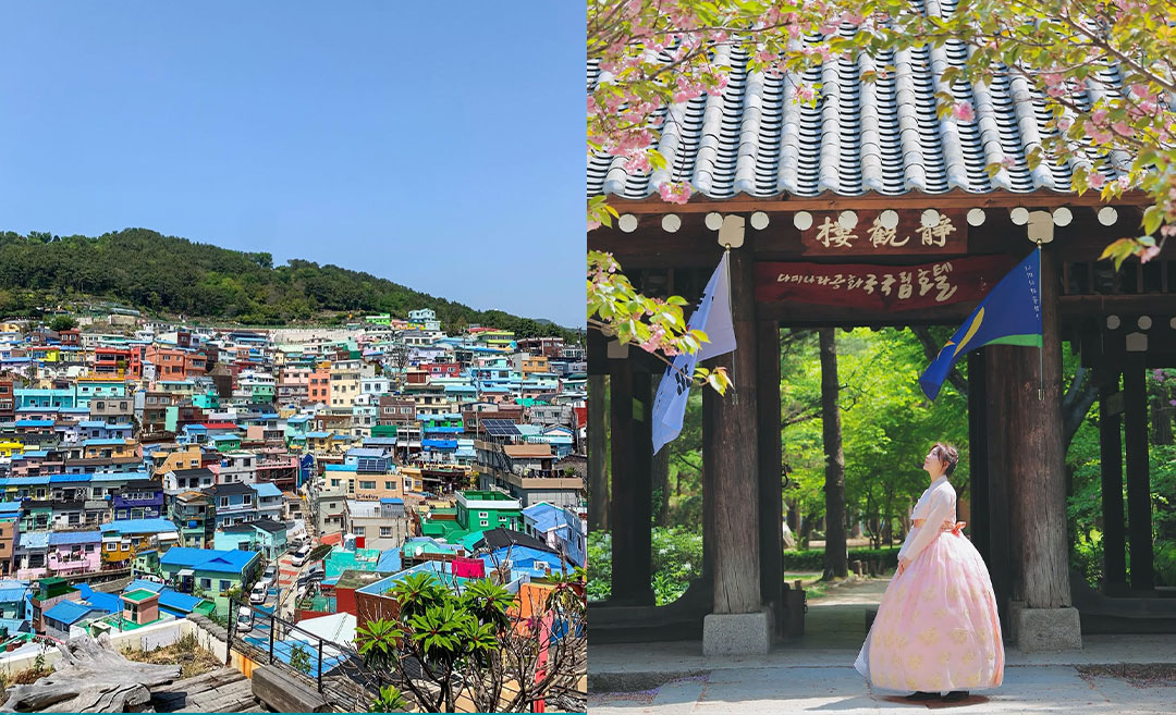 From Busan To Seoul: My Experience Travelling & Living In South Korea