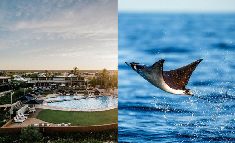 Where The Reef Begins: A Stay At Mantarays Ningaloo Beach Resort, Exmouth