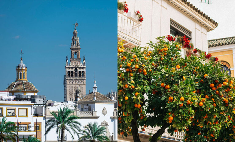 A Laid-Back Guide To Seville: Art, Oranges & Late-Night Tapas