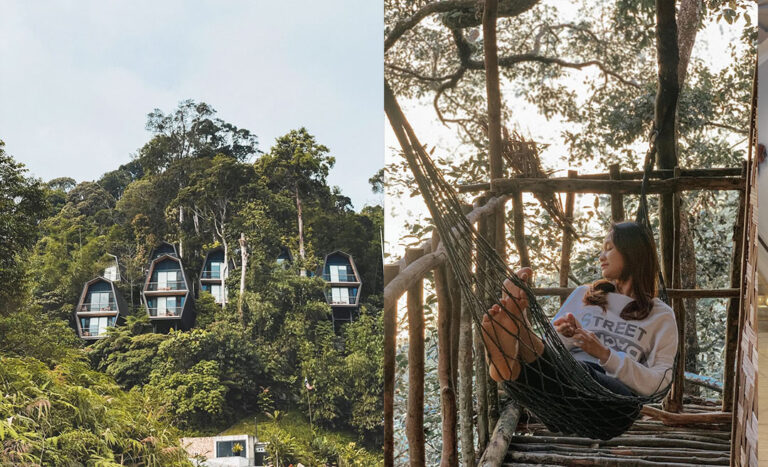 7 Treehouse Escapes In Malaysia For A Restorative Nature Retreat
