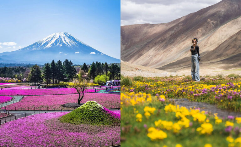 Beyond Cherry Blossoms: Seeing Spring Across Asia Differently