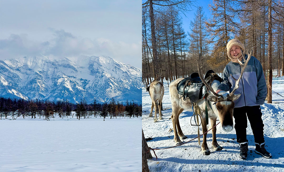 A Mongolia travel story: (Left) A panoramic winter view of the vast taiga forest and snowcapped mountains; (Right) The writer, Lynette Yee, standing with a Tsaatan reindeer in Khövsgöl province.