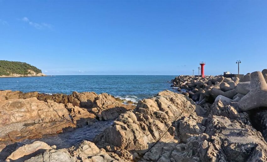 A scenic coastal path by a fishing harbour in Busan leading from Songjeong Beach to a local cafe.
