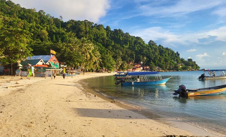 4 Conservation-Focused Volunteer Staycations In Malaysia You Can Join